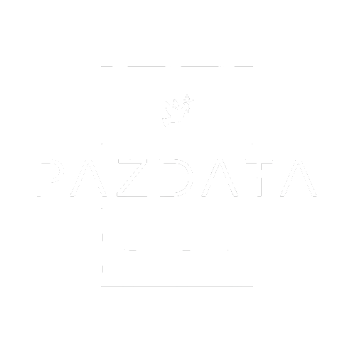 Logo PAZDATA